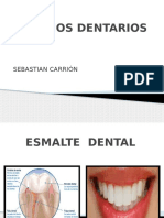 Órganos Dentarios