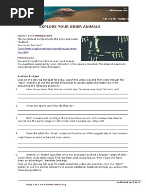 Hhmi Inner Animals Worksheet Pdf Ape Human