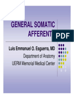 General Somatic Afferents: Luis Emmanuel O. Esguerra, MD