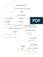 Pathway Tumor Colli