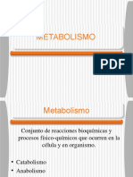 Metabolismo