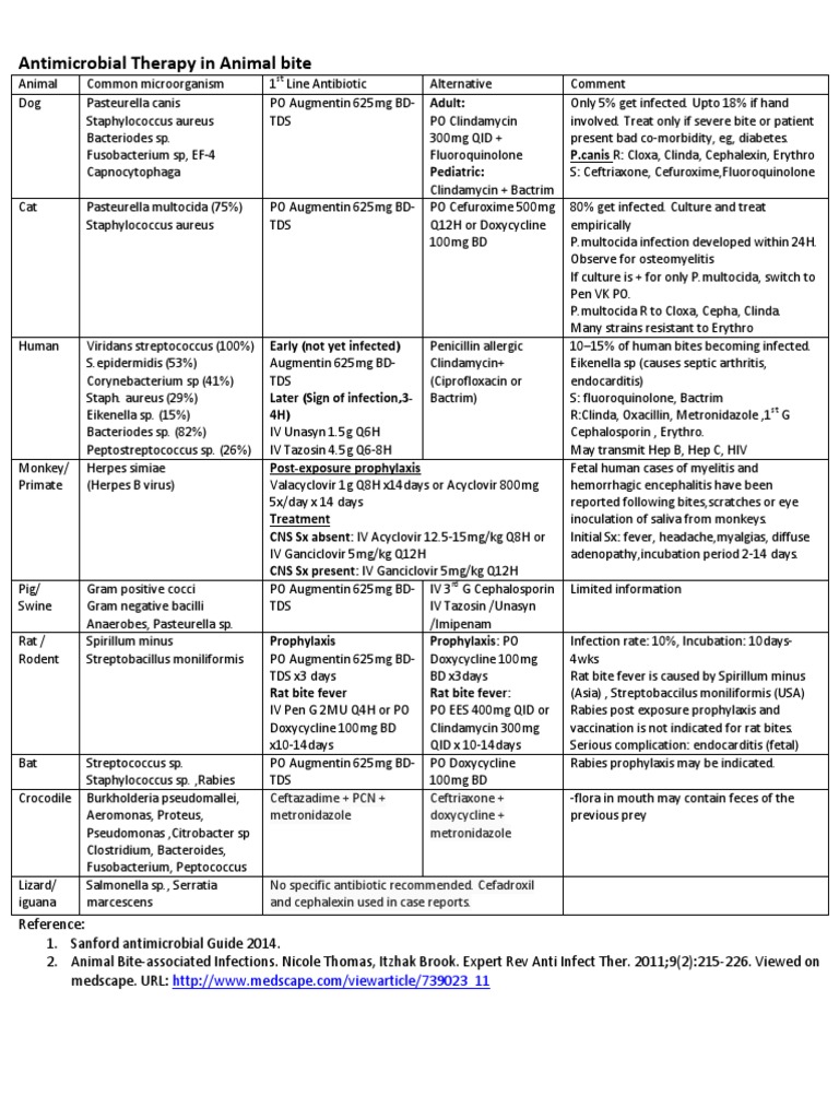 Antimicrobial Therapy In Animal Bite Pdf Infection Bacteria