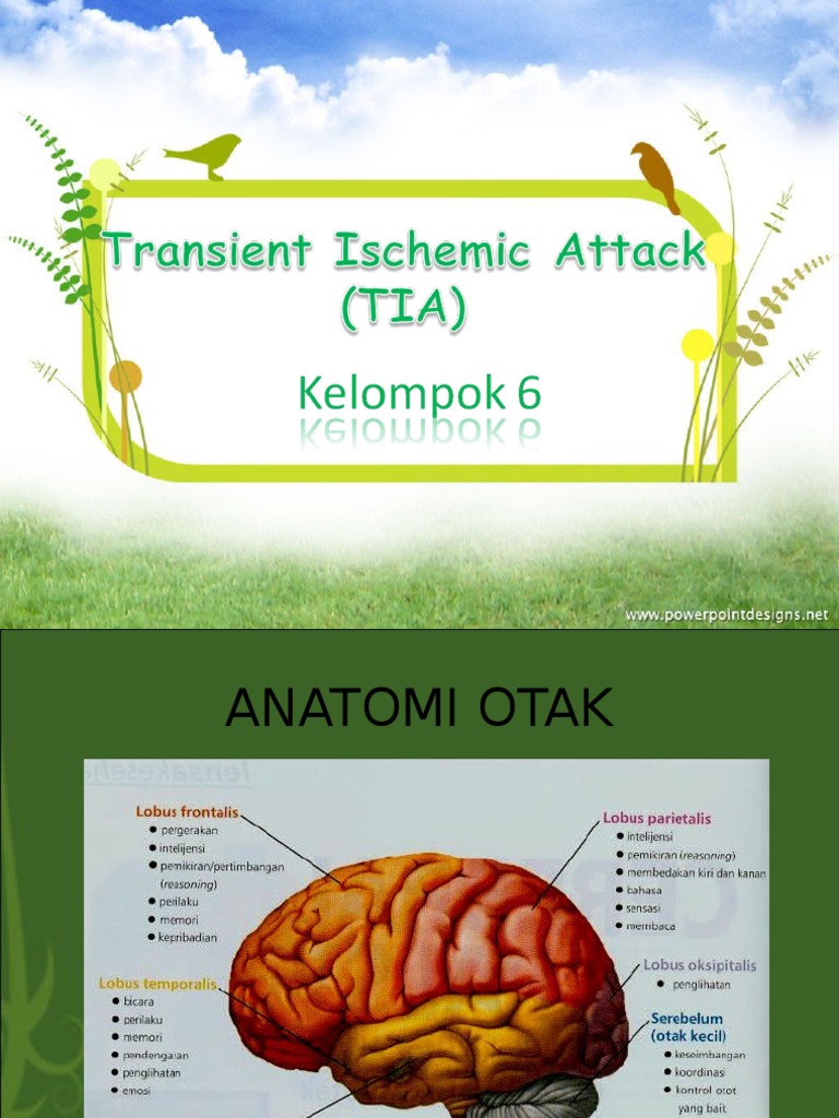 Transient Ischemic Attack (TIA) | PDF | Sains & Matematika