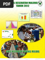 Download 30 Profil KesprovMaluku 2012 by Dayat Muh Dacil SN311887622 doc pdf