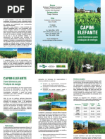 Folder Capim Novas Fotos