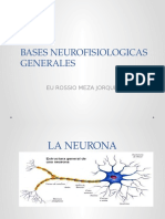 1 Bases Neurofisiologicas Generalesftv Buyt