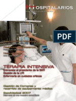 Temashospitalariosnº3 PDF