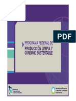 Presentacion P+L en curtiembres.pdf