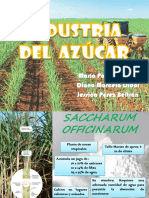 Industria Del Azucar. Procesos PDF