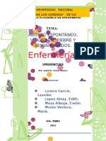 Aborto Espontáneo Violación Fiebre y Semiahogamiento REFINALIZADO