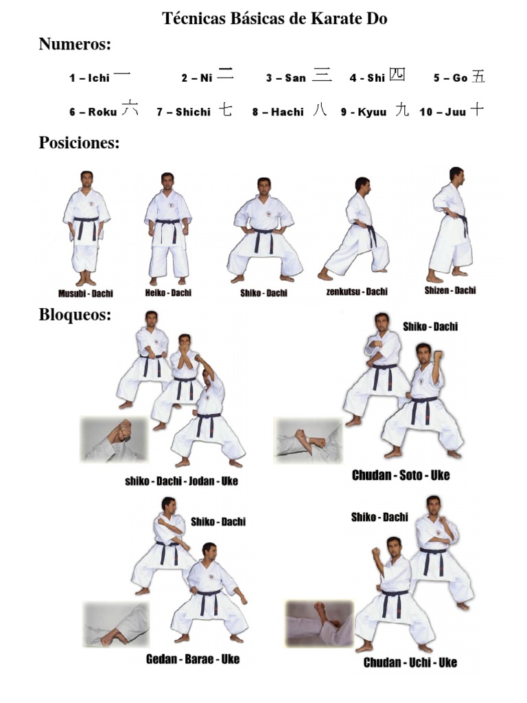 Tecnicas Basicas de Karate Do