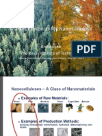 2013feb12-marketprospectsfornanocellulose-brucelyne.pdf