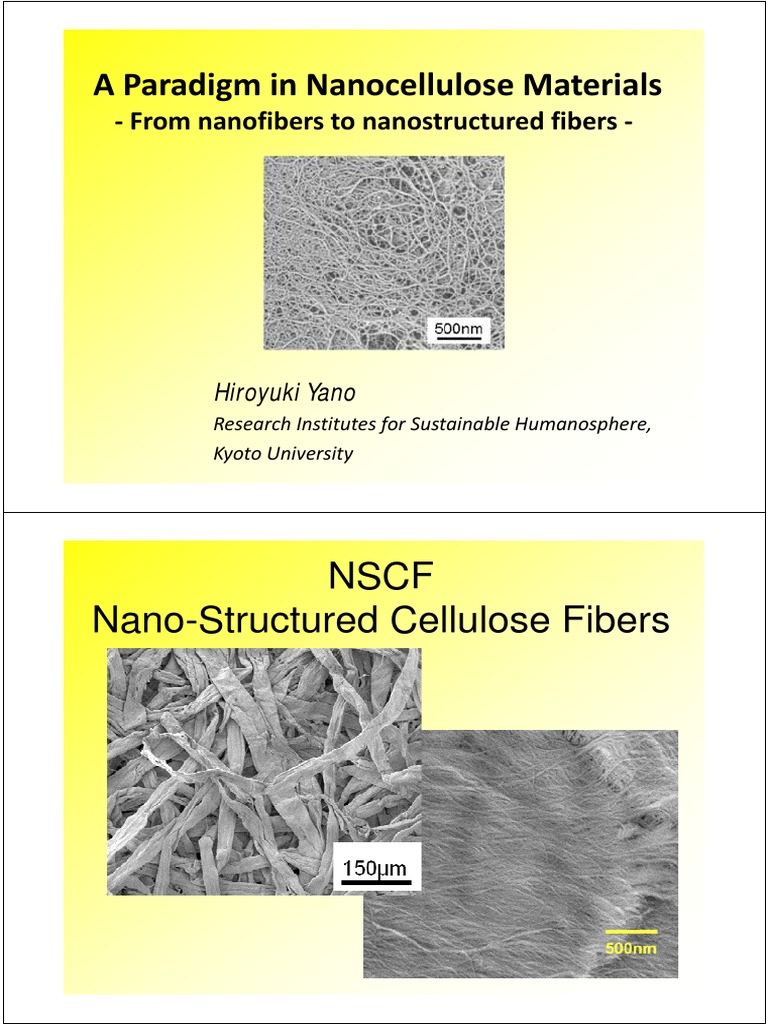 A Paradigm in Nanocellulose Materials | PDF | Pulp (Paper) | Composite ...