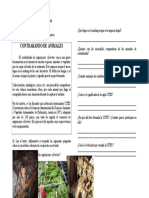 TEXTO INFORMATIVO