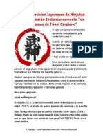 Ejercicios_Japoneses.pdf