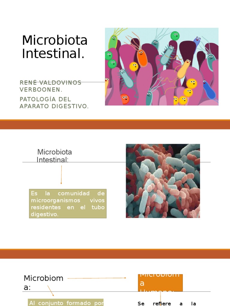 Microbiota Intestinal | PDF | Tripa flora | Sistema inmune