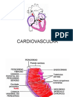 PB2 - Cardiovascular 2016