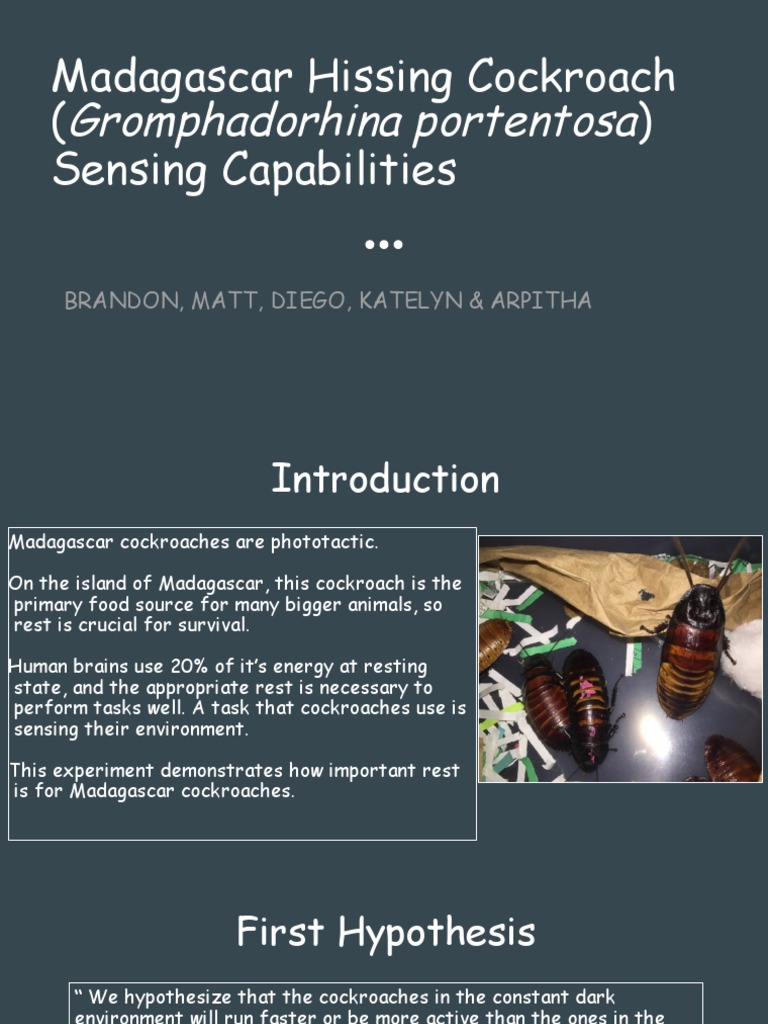 Madagascar Cockroach Sensing Study | PDF | Wellness | Science & Mathematics