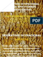 Dermatoseocupacional Causasdiretas 130523130150 Phpapp02