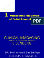 1ultrasound Diagnosis of Fetal Anomalies