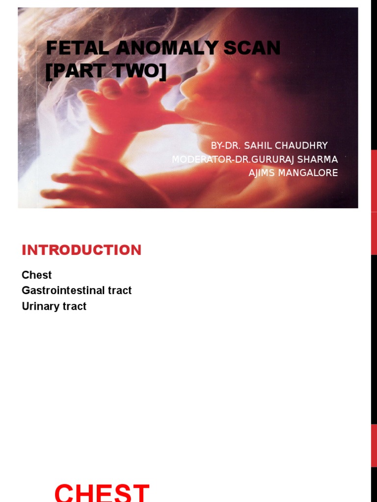 Fetal Anomaly Scan Kidney Esophagus