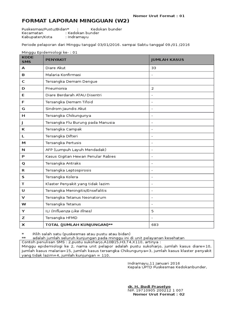 Format Laporan Mingguan (W2) 2016