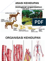 Sistem Oganisasi Kehidupan