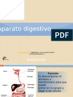Pt_Aparato_digestivo.ppsx