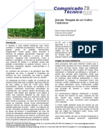 Araruta - Resgate de Um Cultivo Tradicional PDF