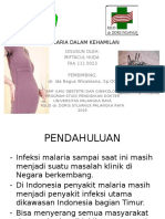 Malaria Dalam Kehamilan