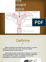 Deficiente Predominant Neurologice