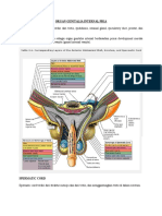 MALE REPRODUCTIVE ORGANS