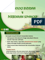 Budidaya Semangka