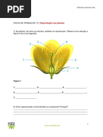 82109 Ficha de Trabalho 10