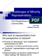 Challenges of Minority Representation: The Perspectives of Immigrant Communities