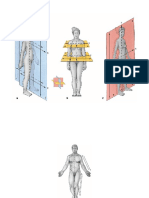 Sobotta - Atlas de Anatomía Humana (Láminas) PDF