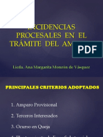 Incidencias Procesales en el Trámite del Amparo