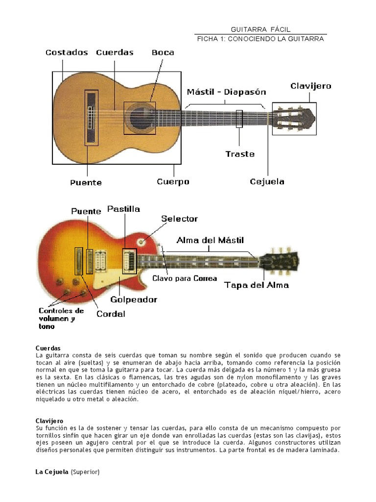 Libro Para Aprender A Tocar La Guitarra Pdf