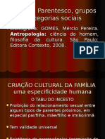 O Social Parentesco, Grupos e Categorias Sociais