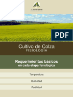 Colza Fisiologia