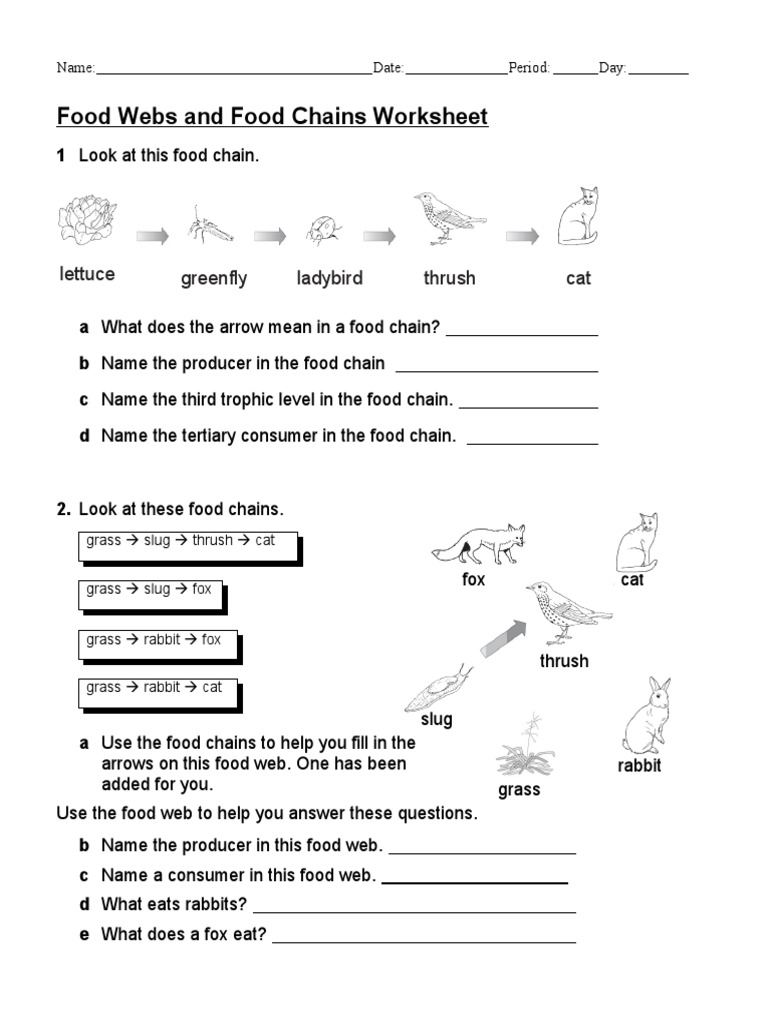 Ecology and Genetics Packet  Genotype  Sickle Cell Disease Intended For Bill Nye Food Web Worksheet