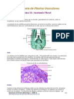 Anatomia Floraltema22 PDF