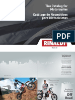 Rinaldi.pdf