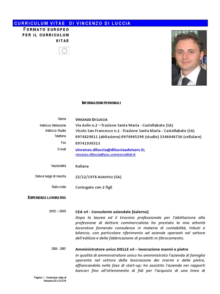 Curriculum vitae sample pdf picture