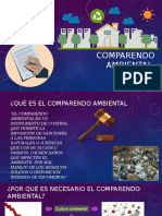 Comparendo Ambiental