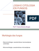 Morfologia e Citologia Dos Fungos