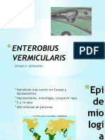 Enterobius Vermicularis