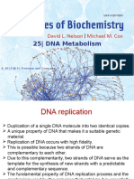 25 - DNA Metabolism: © 2013 W. H. Freeman and Company