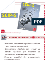 Scip-S Web 2014