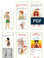 Sistema Respiratorios Triptico